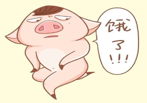 减肥期间饿了怎么办