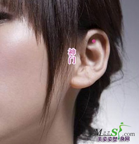 绿色瘦身网——中医耳穴减肥法