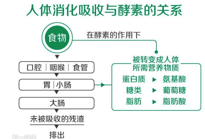 酵素减肥的副作用