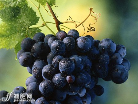 葡萄减肥法　美妙酸甜好享瘦