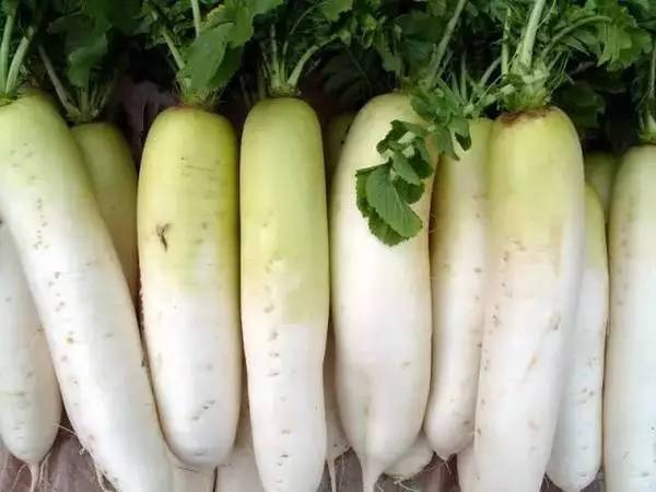 减肥必吃的八种蔬菜