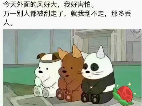 减肥产品排行