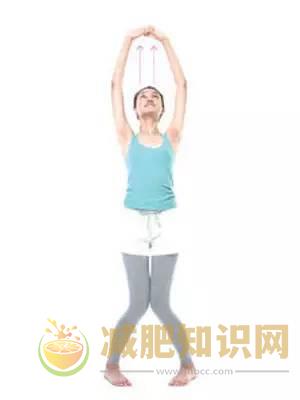 减肥操是瘦身塑形最有效的方法
