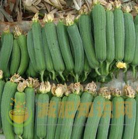 对抗便秘最有效的4款减肥食品
